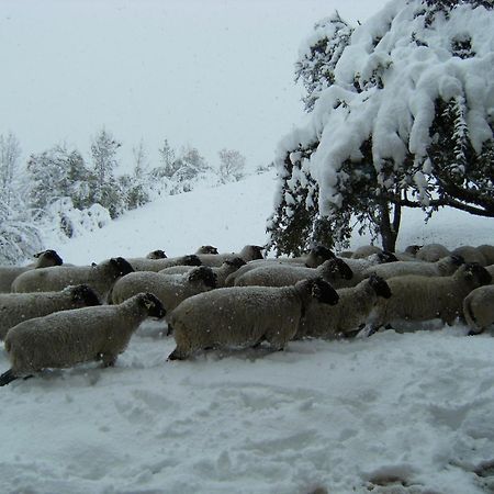 Agriturismo Maso Santa Libera Tesero Bagian luar foto