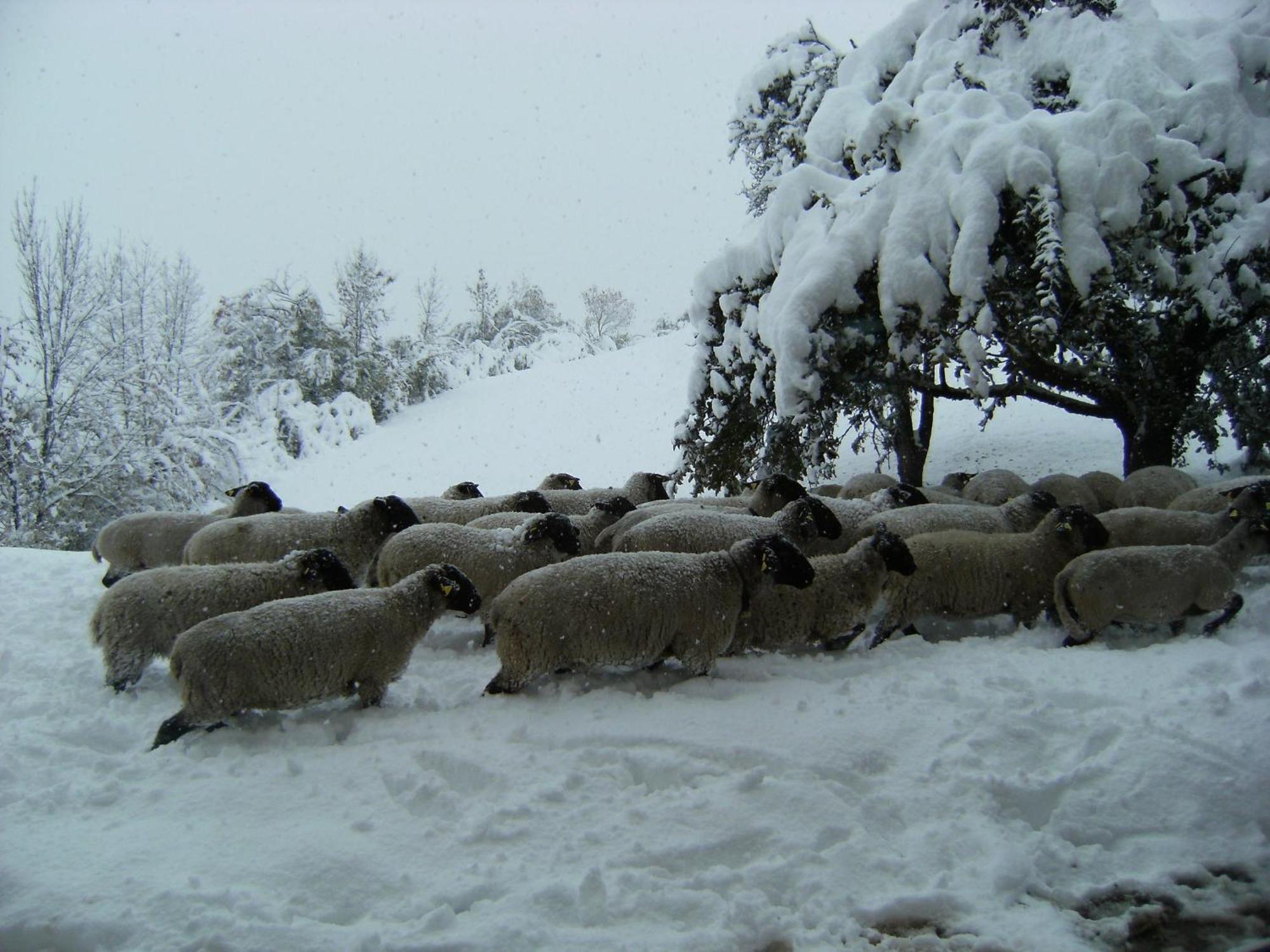 Agriturismo Maso Santa Libera Tesero Bagian luar foto